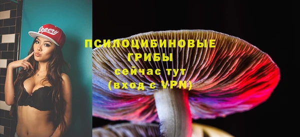 кокаин Белокуриха