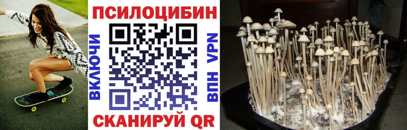ссылка на мегу   Шлиссельбург  Галлюциногенные грибы MAGIC MUSHROOMS  хочу наркоту 